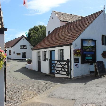 Celtic Haven Hotel Tenby Bagian luar foto